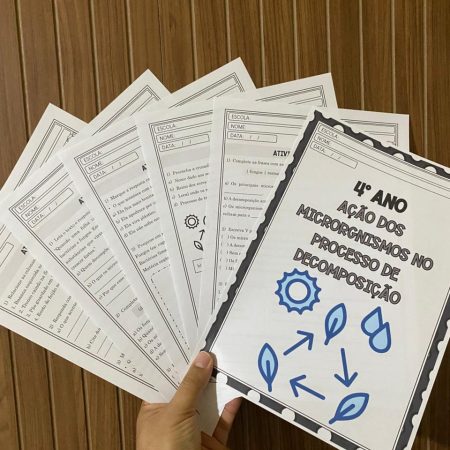 256 - 4º ano Ações dos microrganismos na decomposição